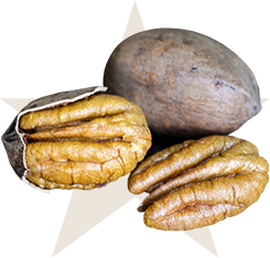 farley pecan in a shell and de-shelled