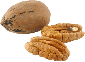 Raw pecans shelled and de-shelled