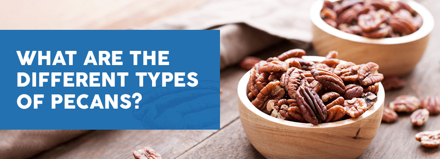 pecans in a bowl