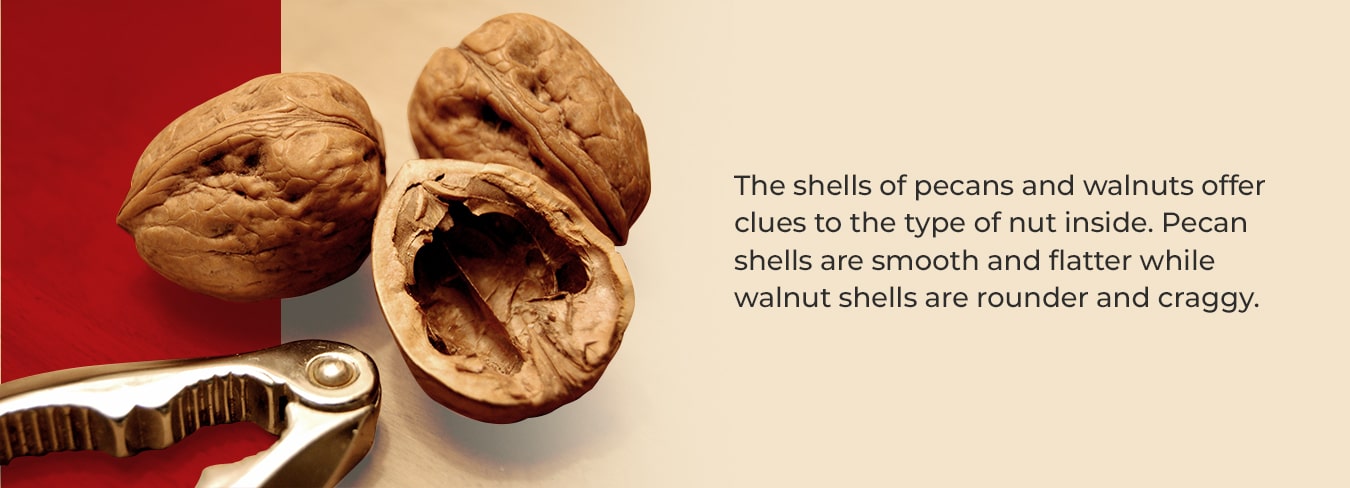 What is The Difference Between Pecans And Walnuts - Pecan Nation