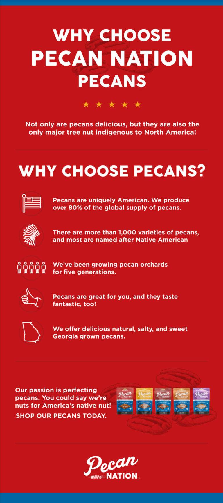 The History of the Pecan Americans Nut Pecan Nation
