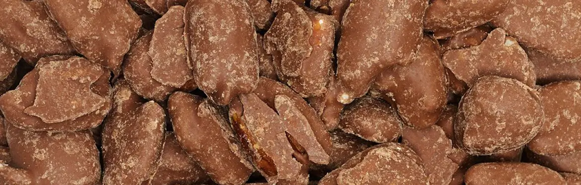 Chocolate-Covered Pecans